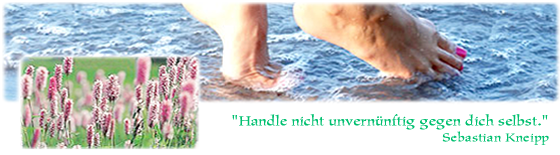 Kneipp Storch im Salat